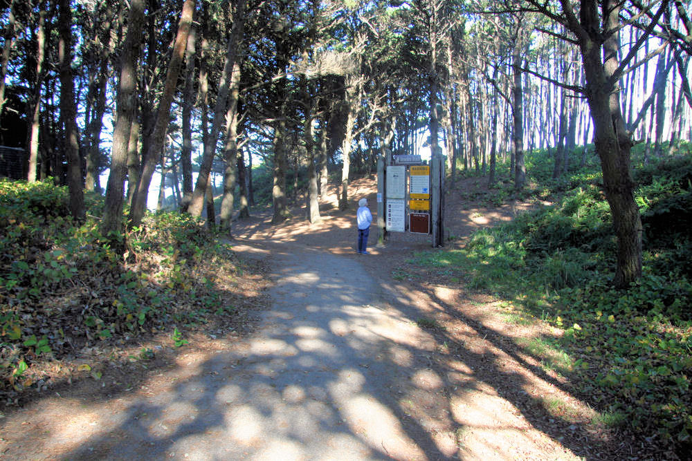 Path to Beach