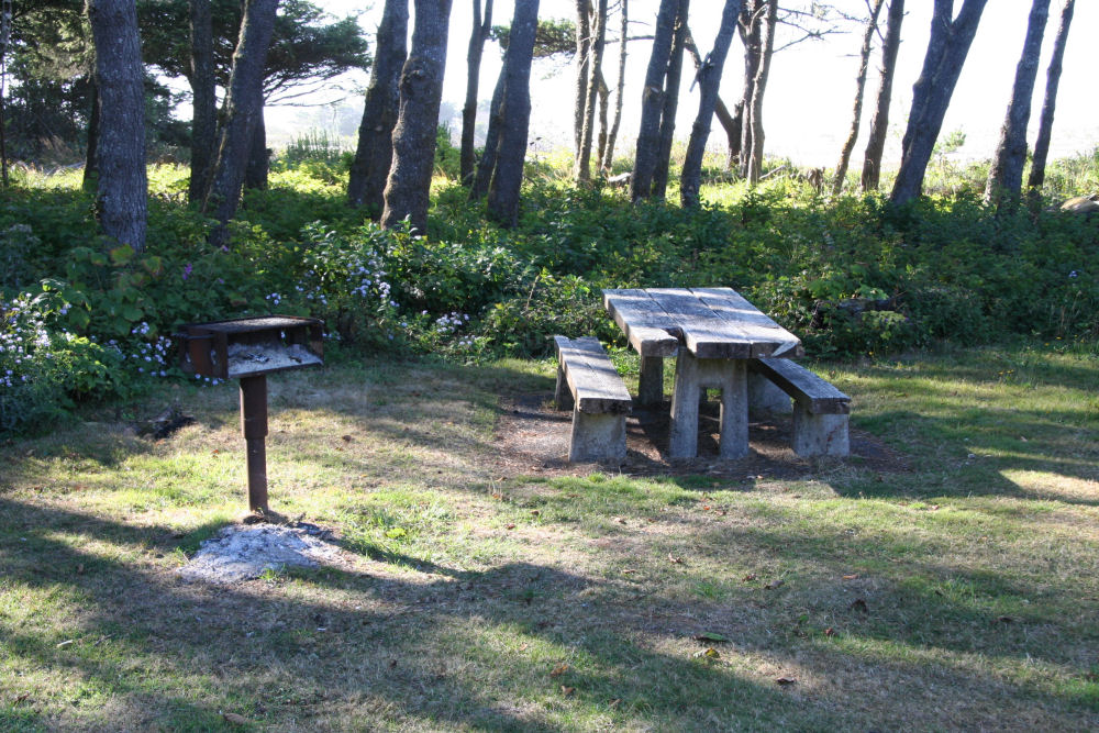 Picnic Table