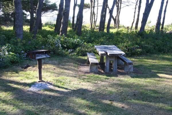 Ona Beach State Park Picnic Tables