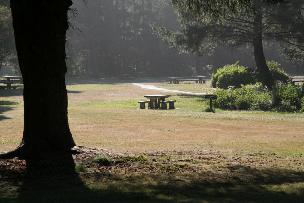 Picnic Table