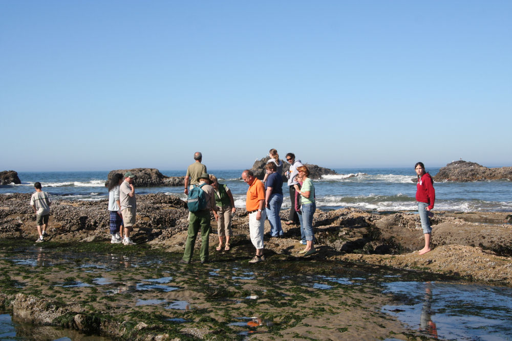 Seal Rock 