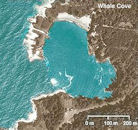 Whale Cove Location