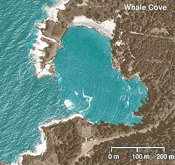 Location of Whale Cove