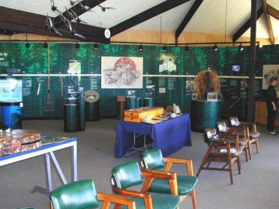 Exhibits in Cape Perpetua Visitors Center