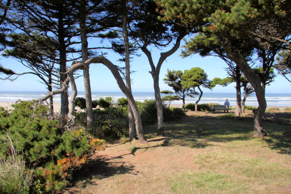 Viewing Bench at Governor Patterson Wayside 