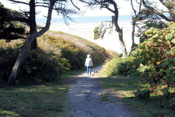 Path to the Beach 