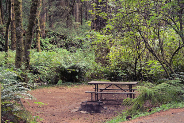 Rock Creek Camp Site