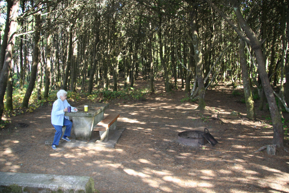 Tillicum Beach Campground, Oregon