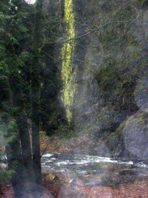 Stream from Multnomah Falls