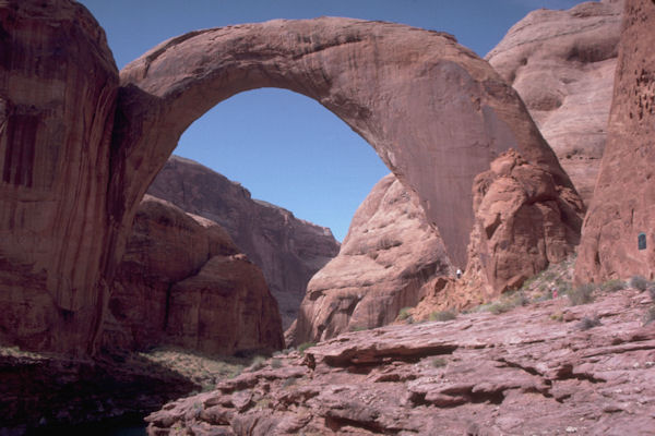 One of Many Arches