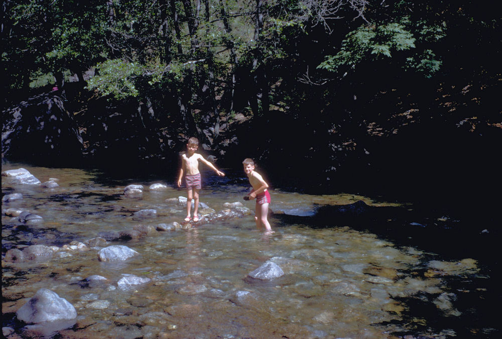 Big Sur State Park