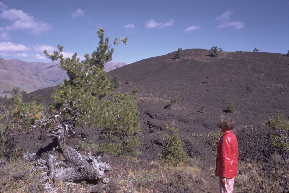 Craters of the Moon