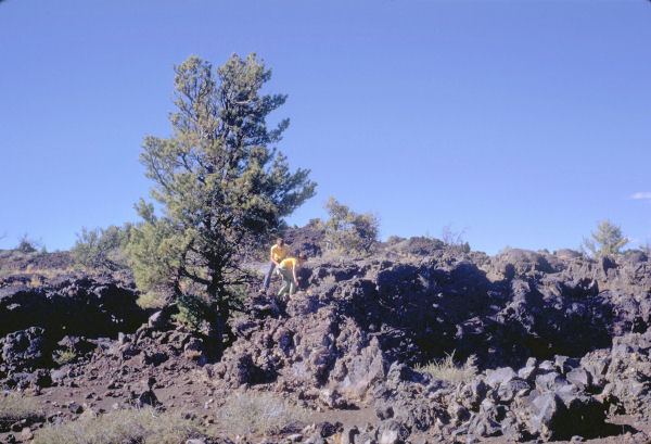 Boys Climb Jagged Lava