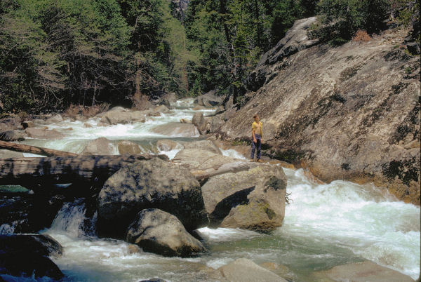 Chet Explores the River