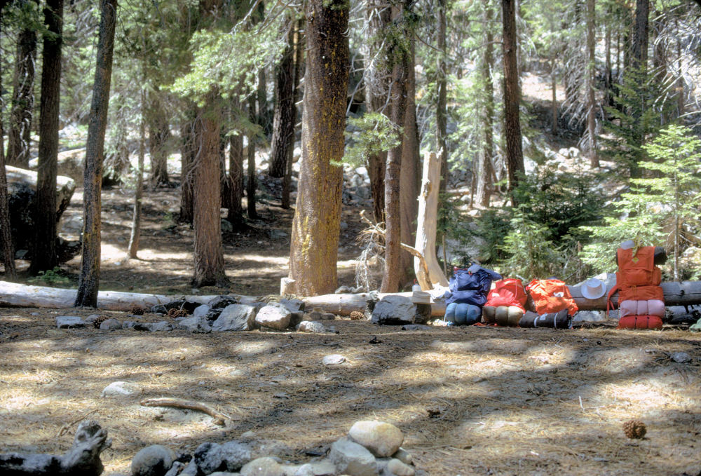 King's Canyon National Park