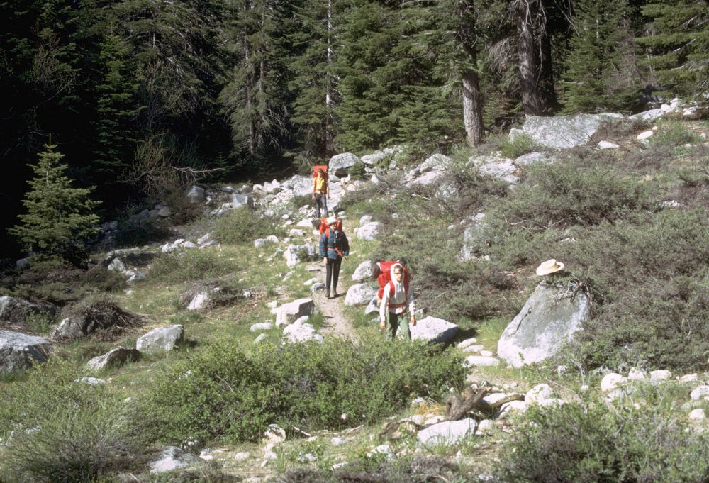 King's Canyon National Park