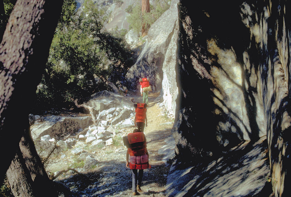 King's Canyon National Park