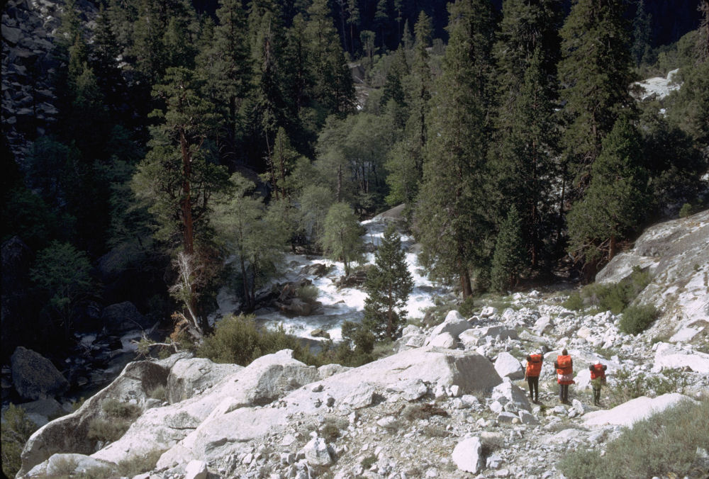 King's Canyon National Park