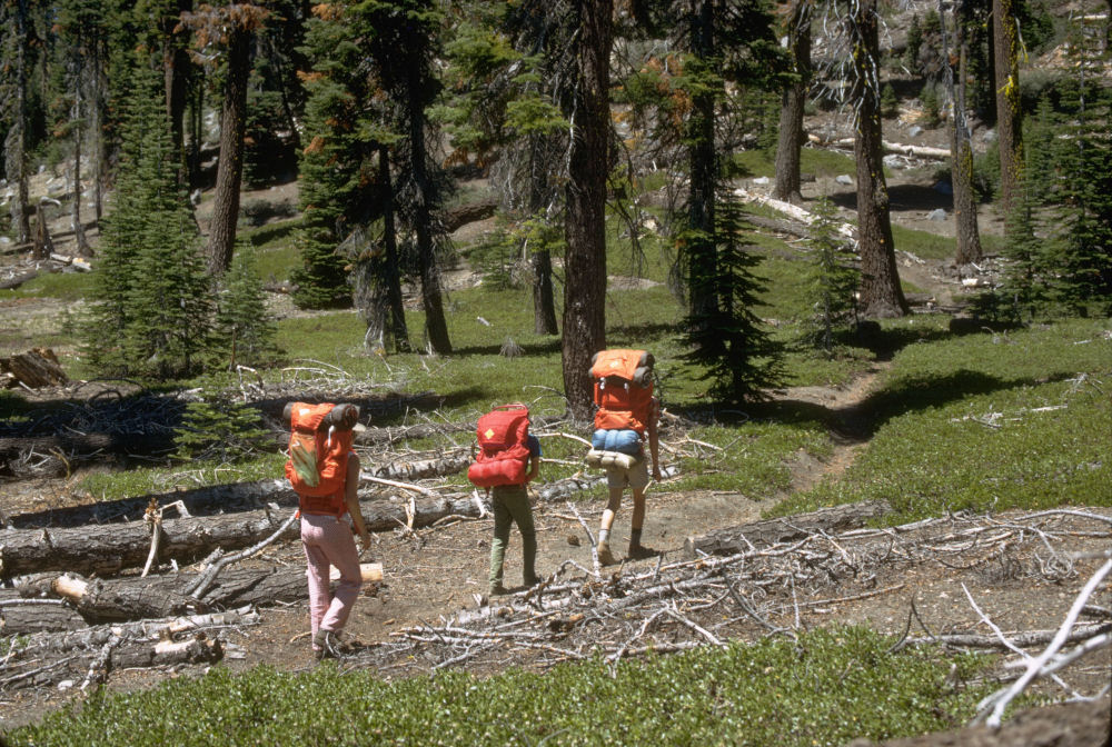 King's Canyon National Park