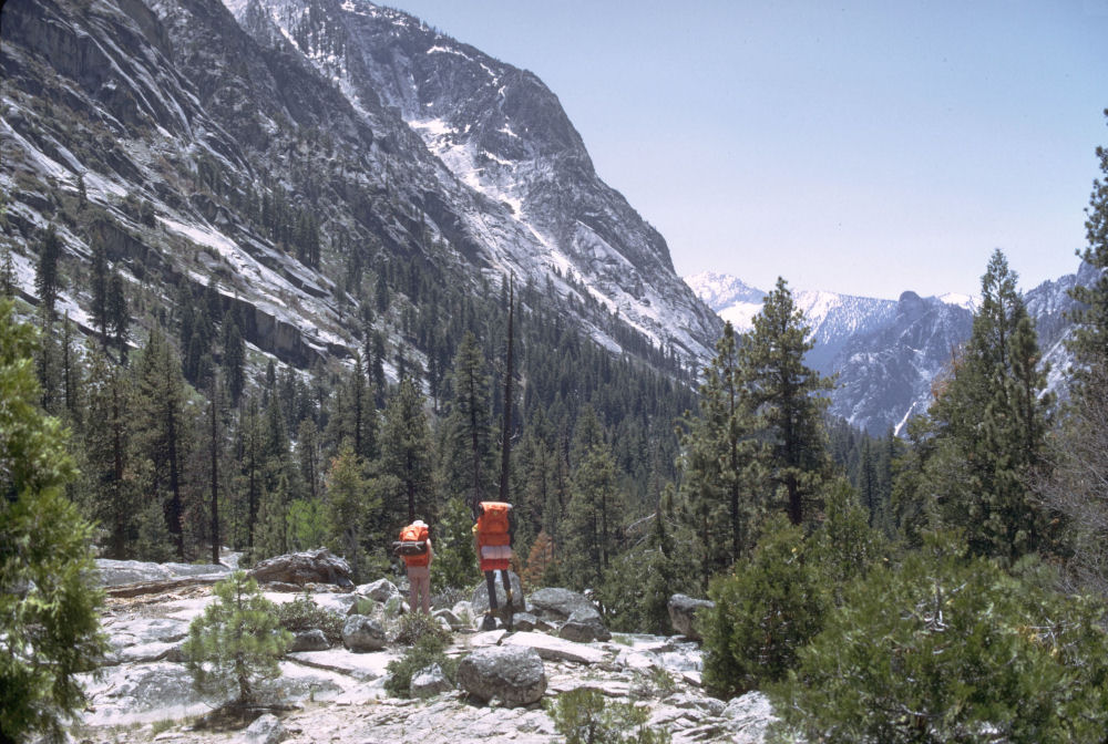 King's Canyon National Park