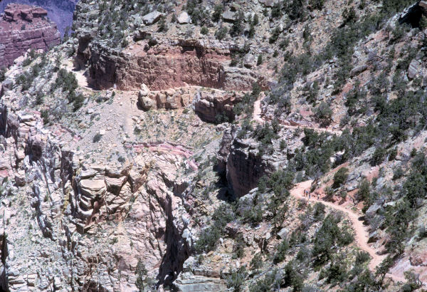 On the Kaibab Trail