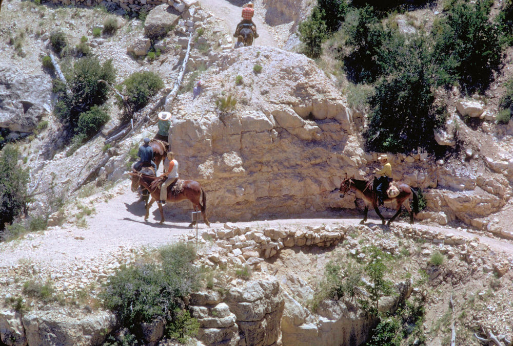 Grand Canyon