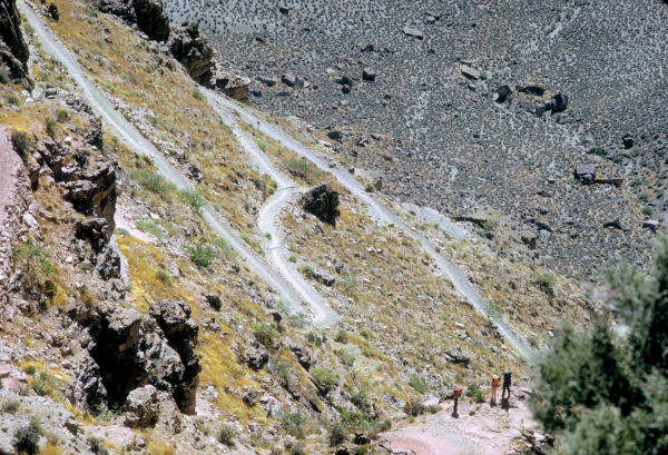 On the Kaibab Trail