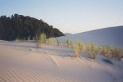 Honeyman Sand Dunes