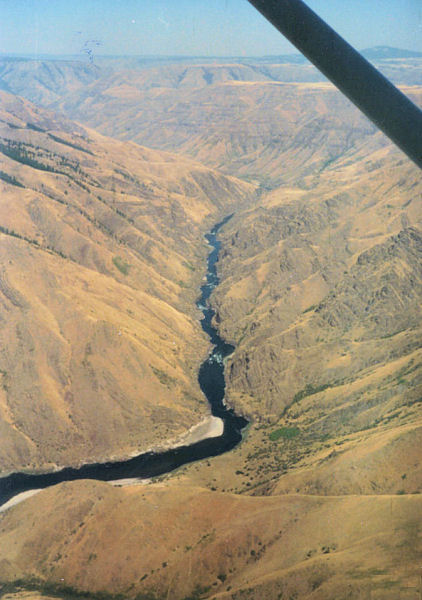 We Fly over the River