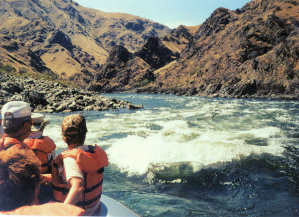 We Swim in the Salmon River