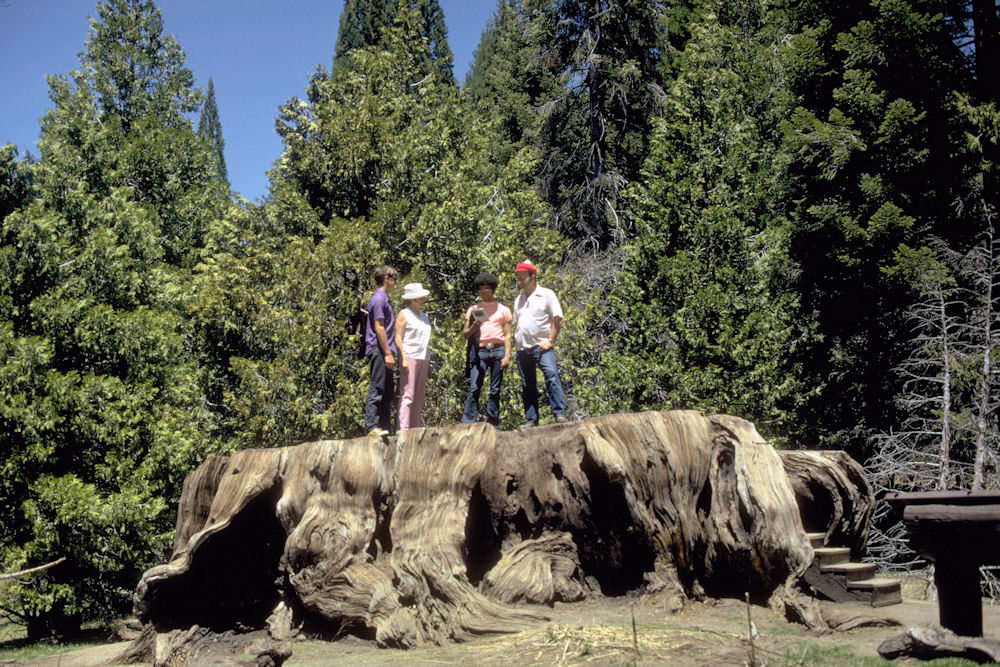 Sequoia and Kings Canyon National Parks 