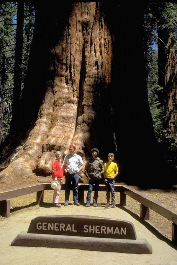 Sequoia and Kings Canyon National Parks 