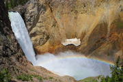 Yellowstone Falls