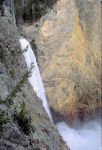 Yellowstone Falls