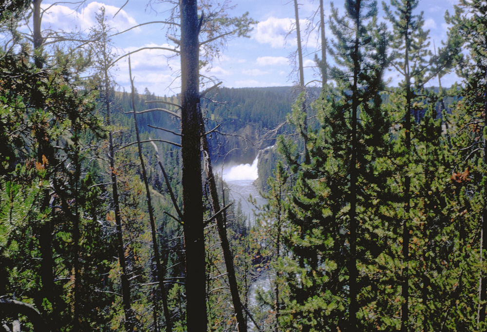 Yellowstone NP