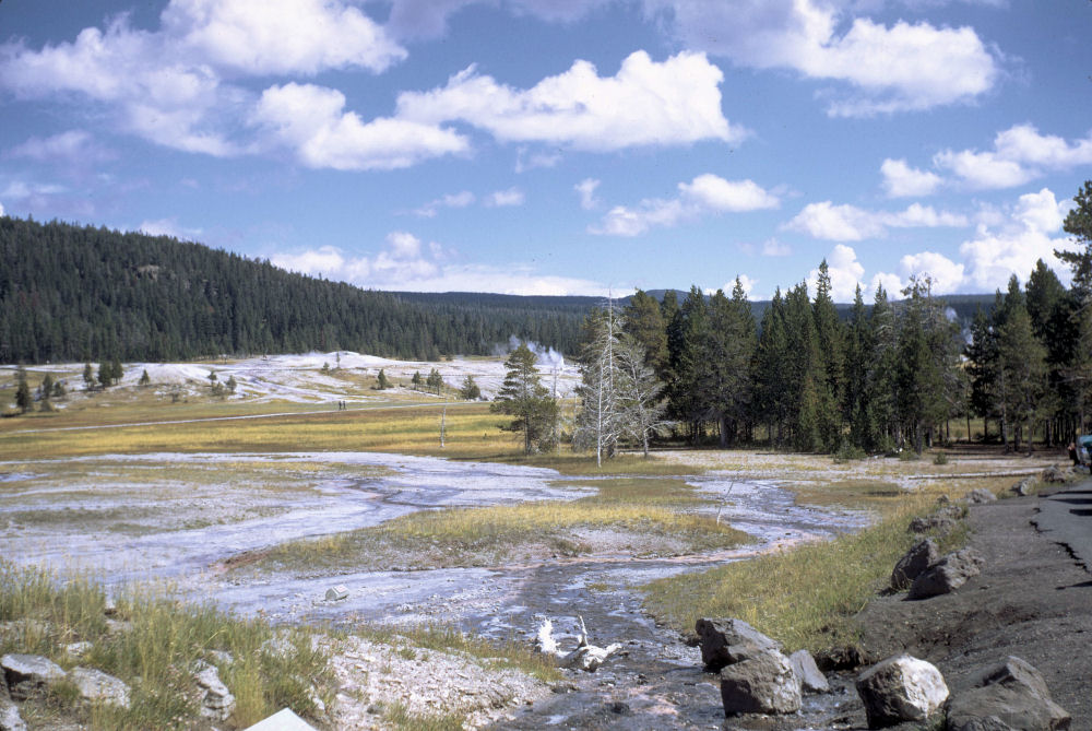 Yellowstone NP