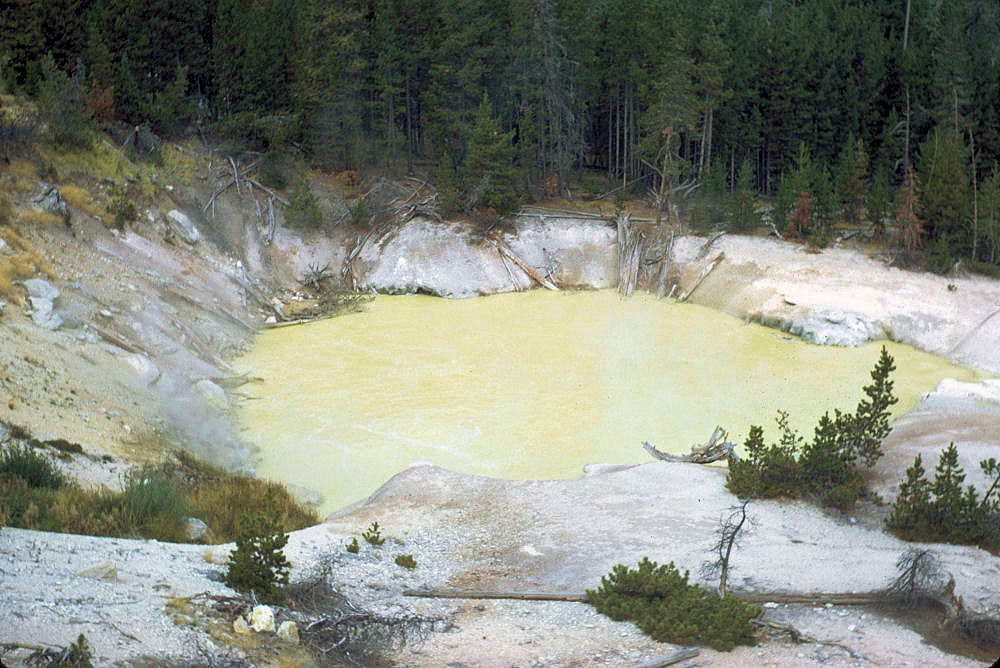 Yellowstone NP