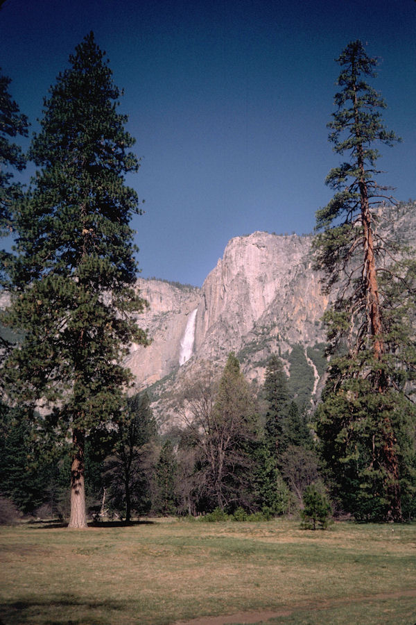 Yosemite National Park 