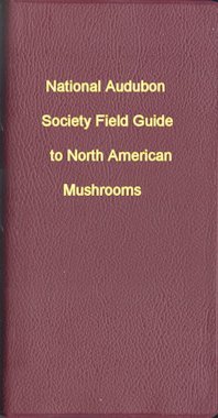 Audubon Field Guide to Mushrooms