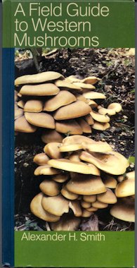 Field Guide to Western Mushrooms