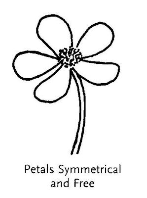 Petals Symmetrical and Free
